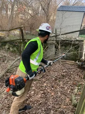 Nicas Tree Service Logo