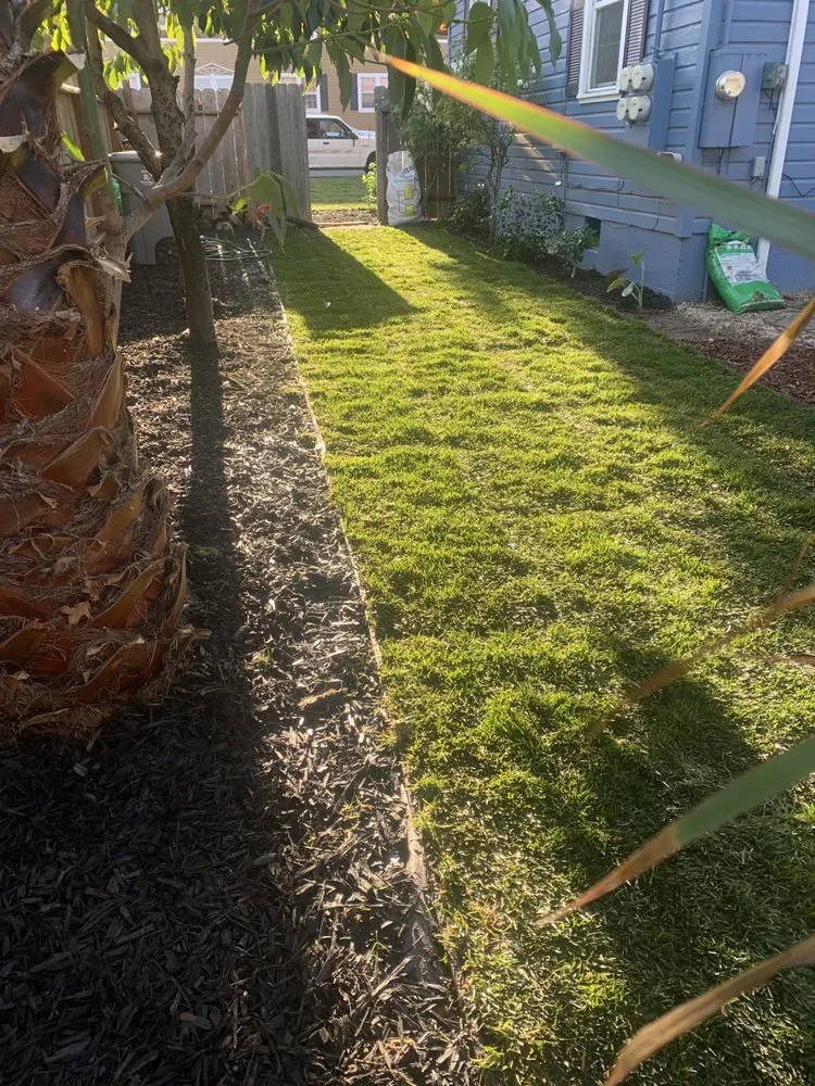 Professional lawn care service experts serving Concord, CA - Nicasio’s Landscaping