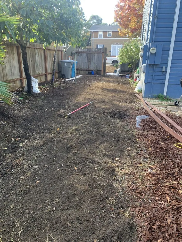 Reliable landscape design experts serving Concord, CA - Nicasio’s Landscaping
