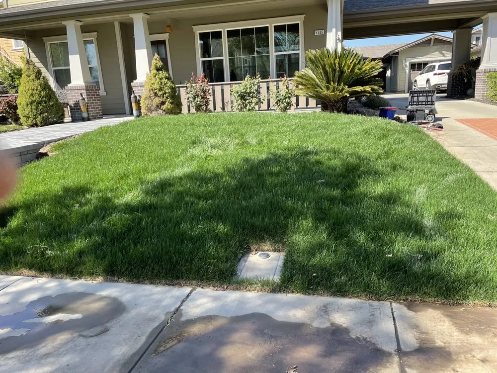 Professional yard cleanup service for outdoor upgrades across Concord, CA - Nicasio’s Landscaping