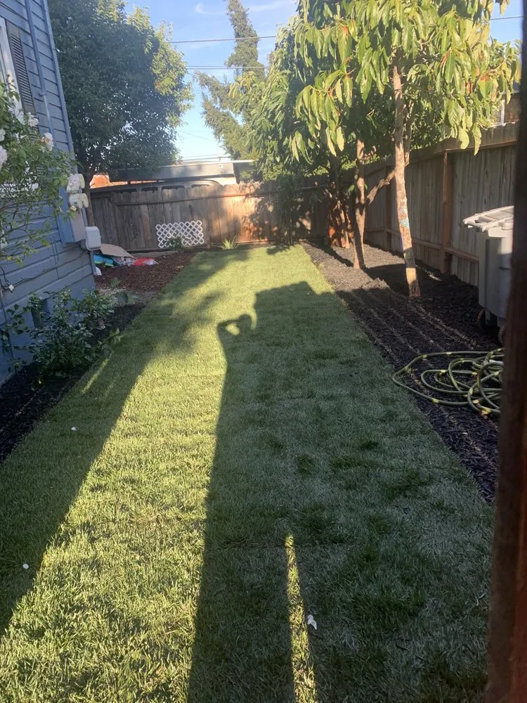 Affordable landscaping services for outdoor upgrades in Concord, CA by Nicasio’s Landscaping