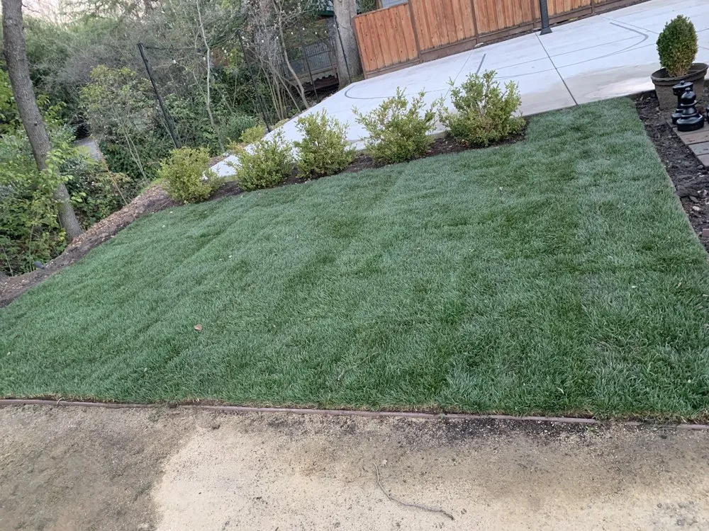 Local residential landscaping near you across Concord, CA - Nicasio’s Landscaping