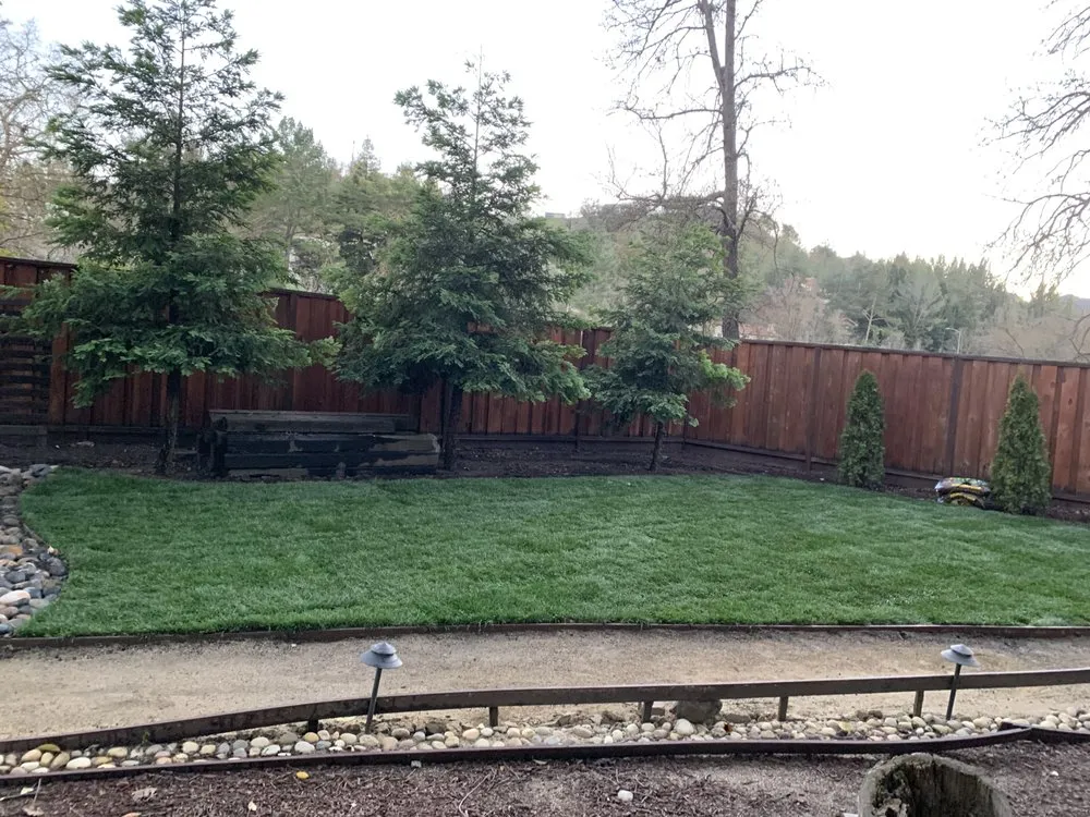 Top-rated lawn mowing service in Concord, CA by Nicasio’s Landscaping