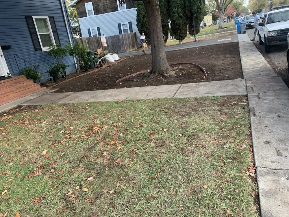 Top-rated lawn mowing service in Concord, CA by Nicasio’s Landscaping