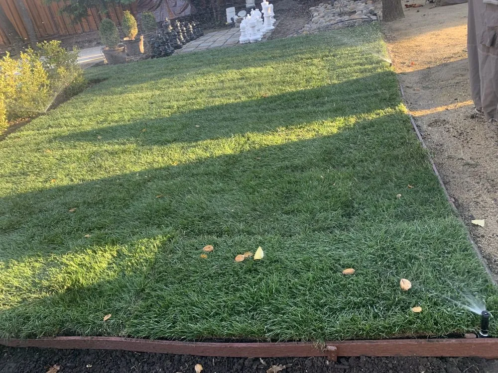 Local landscape installation in Concord, CA - Nicasio’s Landscaping