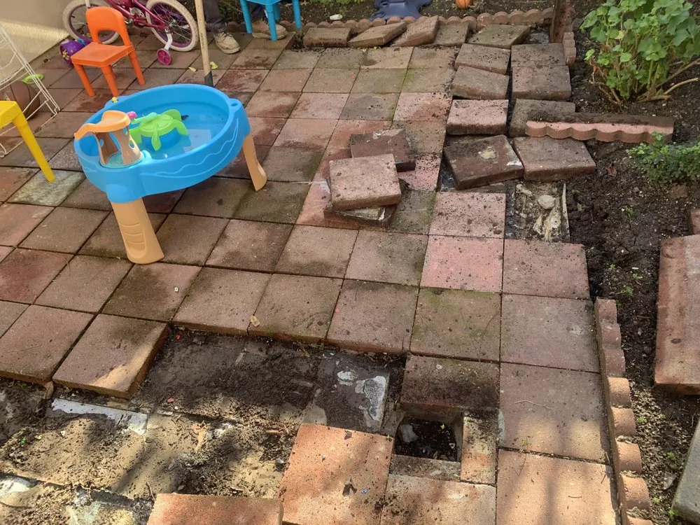 Affordable lawn care service for beautiful yards across Concord, CA - Nicasio’s Landscaping