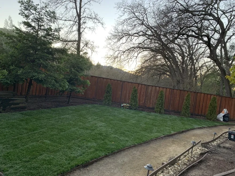 Professional yard cleanup service in Concord, CA - Nicasio’s Landscaping