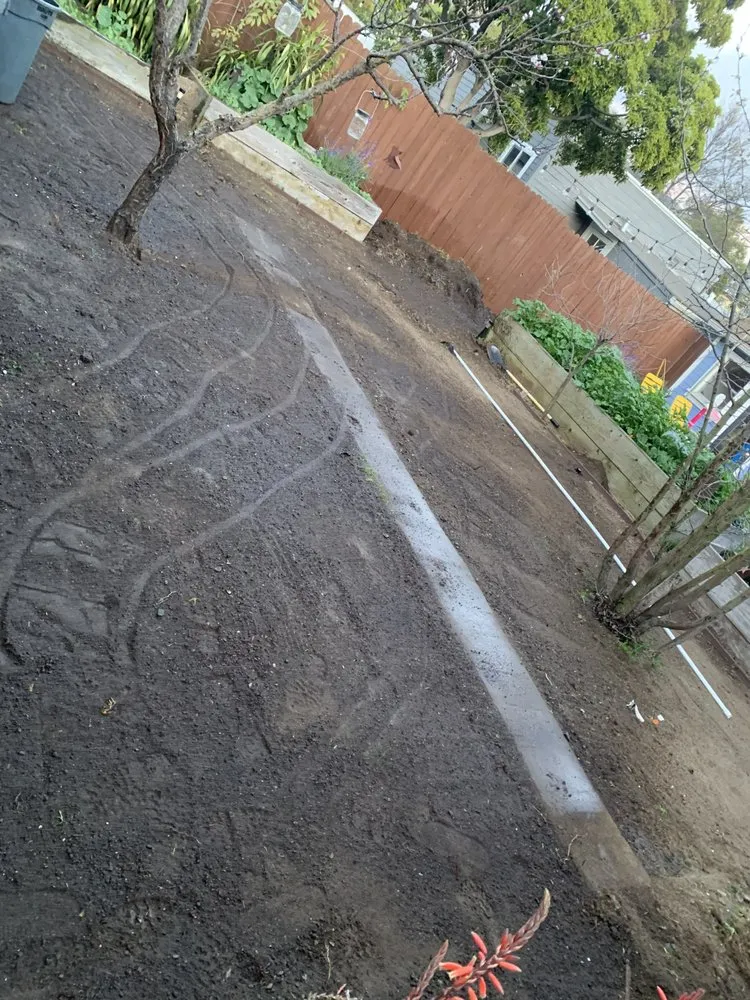 Professional garden landscaping in Concord, CA by Nicasio’s Landscaping