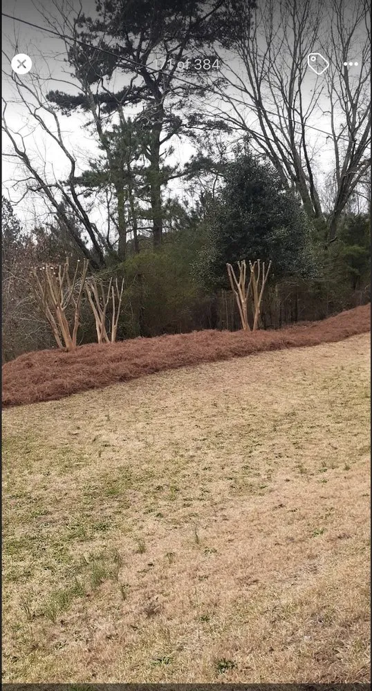 Custom yard maintenance in Sanford, NC - Nice & Neat Painting & Power Washing Service