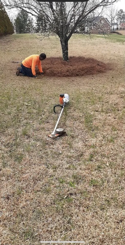 Trusted garden landscaping with custom design across Sanford, NC - Nice & Neat Painting & Power Washing Service