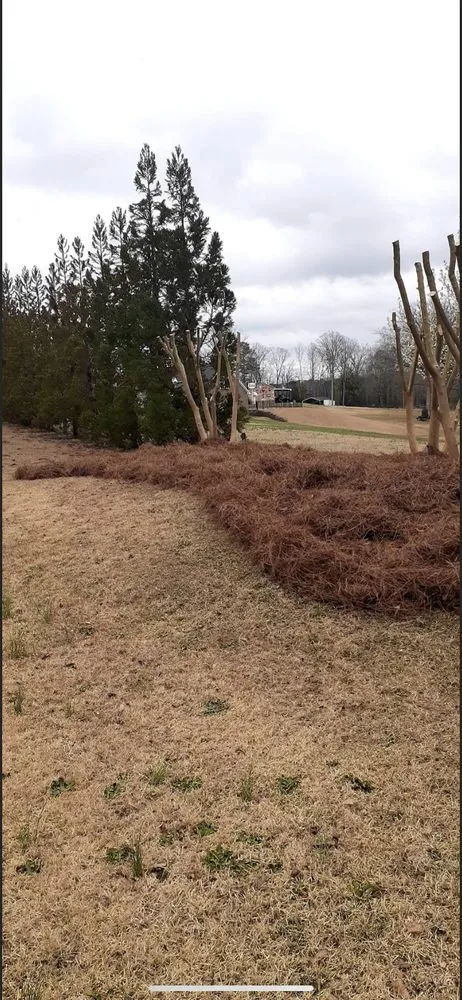 Professional residential landscaping in Sanford, NC - Nice & Neat Painting & Power Washing Service