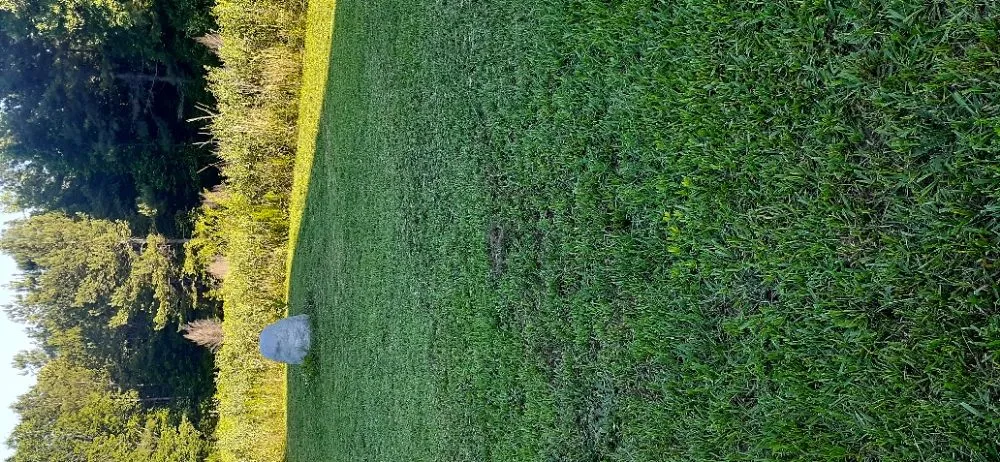 Reliable residential landscaping near you across Sanford, NC - Nice & Neat Painting & Power Washing Service