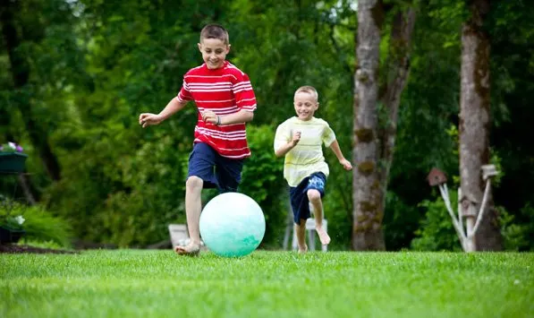 Reliable garden landscaping in Roland, IA by Nice & Precise