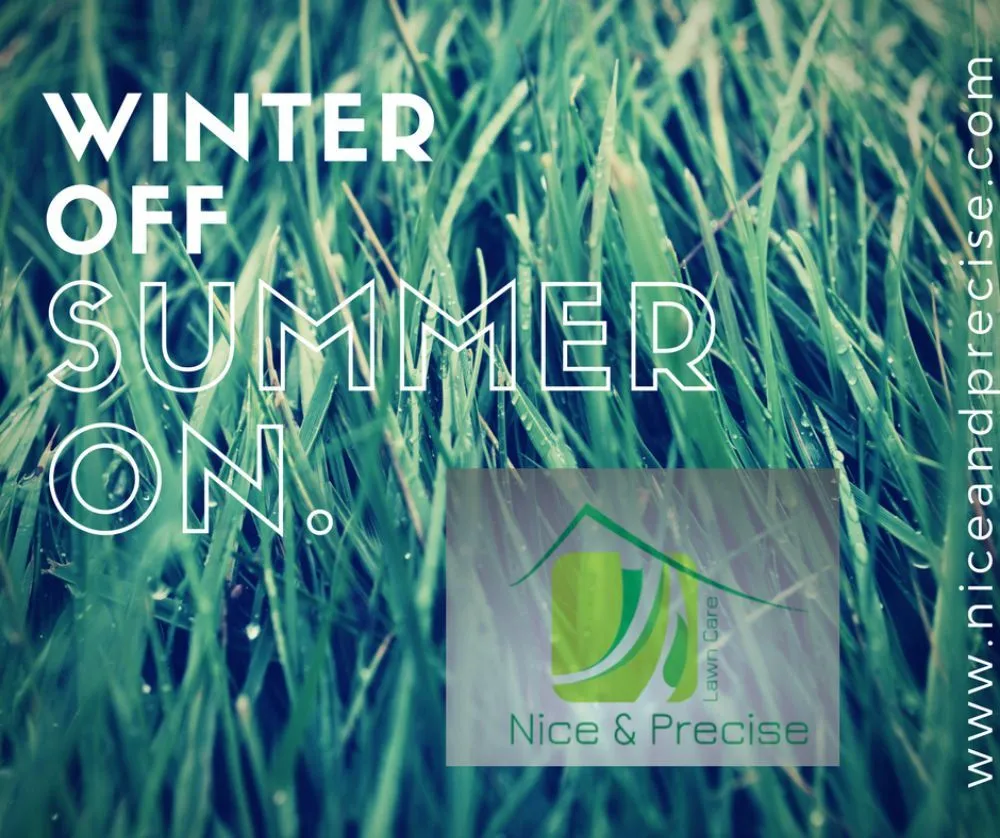 Trusted garden landscaping experts serving Roland, IA - Nice & Precise