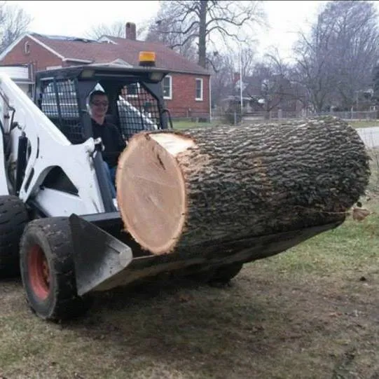 Expert residential landscaping for residential properties in Springfield, IL by Nice Guys Landscaping