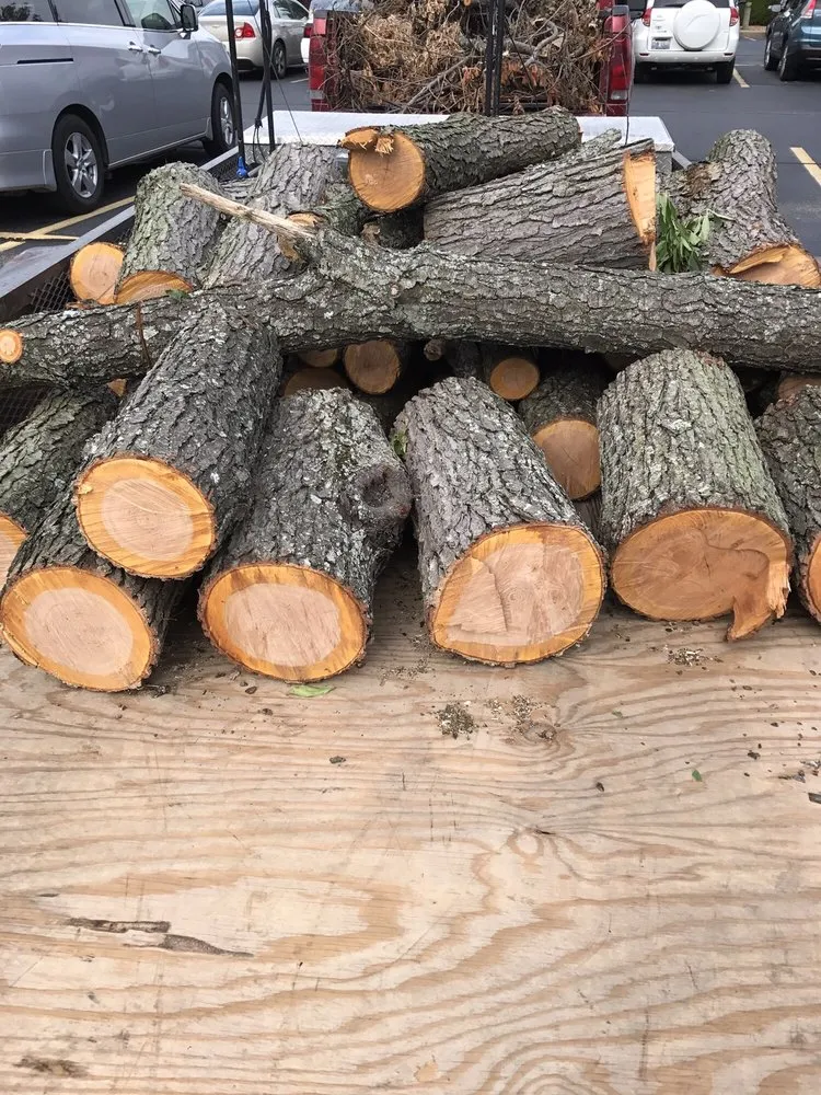 Professional outdoor landscaping in Springfield, IL by Nice Guys Landscaping