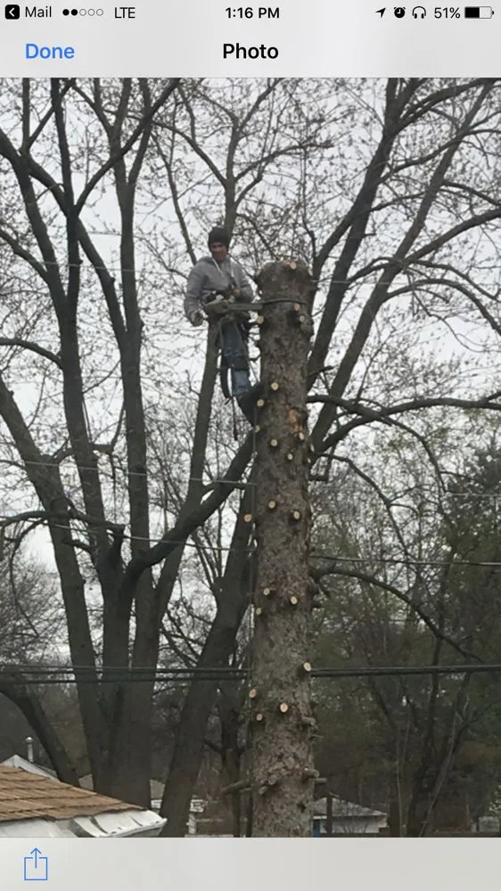 Expert landscaping services experts serving Springfield, IL - Nice Guys Landscaping