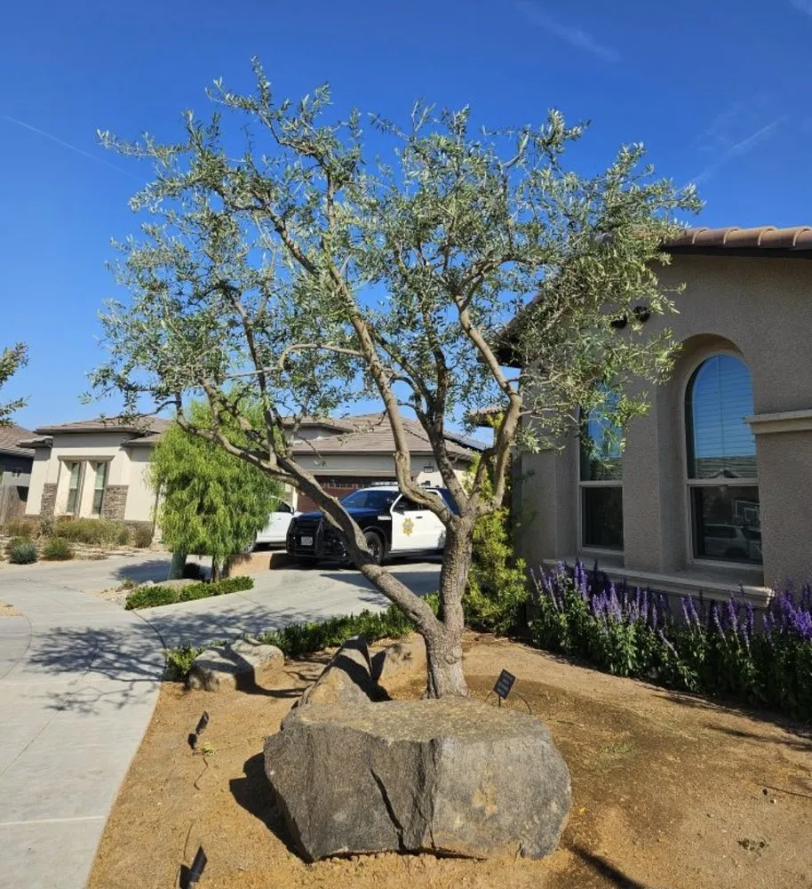 Local landscape installation near you across Fresno, CA - Nice Image Landscaping