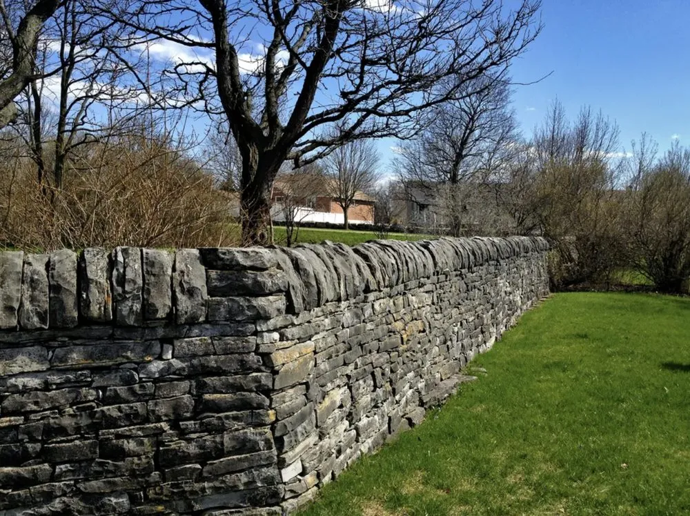 Affordable yard cleanup service experts serving Fresno, CA - Nice Image Landscaping