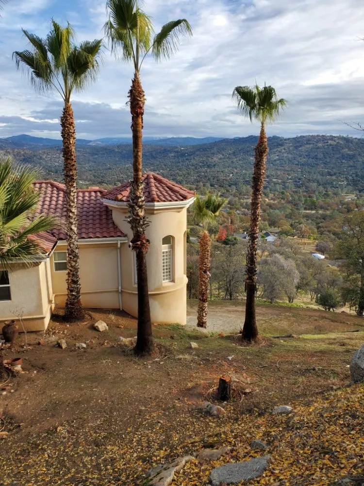 Trusted yard maintenance with custom design across Fresno, CA - Nice Image Landscaping