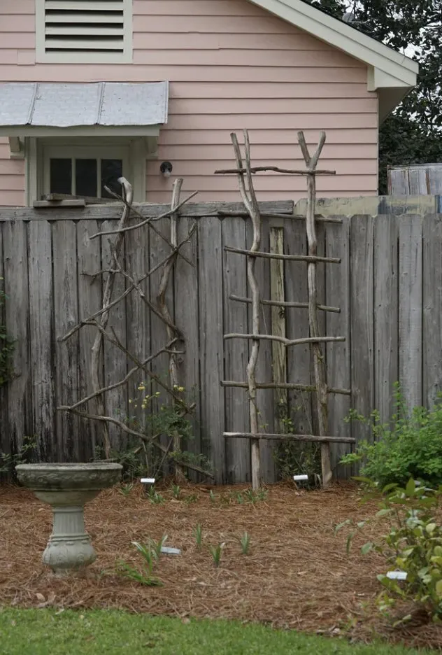 Expert landscape installation for year-round maintenance in Fresno, CA by Nice Image Landscaping