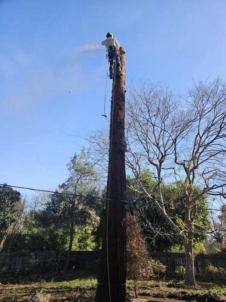 Expert lawn care service experts serving Fresno, CA - Nice Image Landscaping