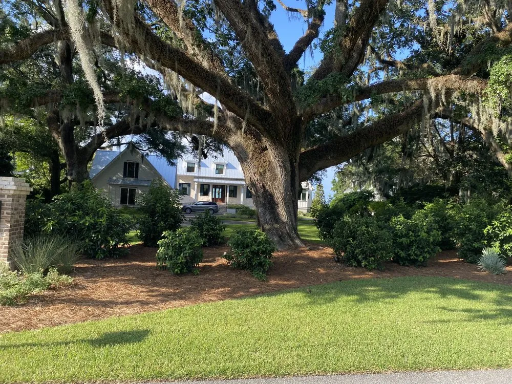 Custom landscape design for year-round maintenance across Charleston, SC - Nice Landscaping Of Charleston