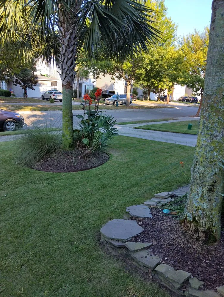 Top-rated lawn mowing service near you across Mount Pleasant, SC - Nice lawn service