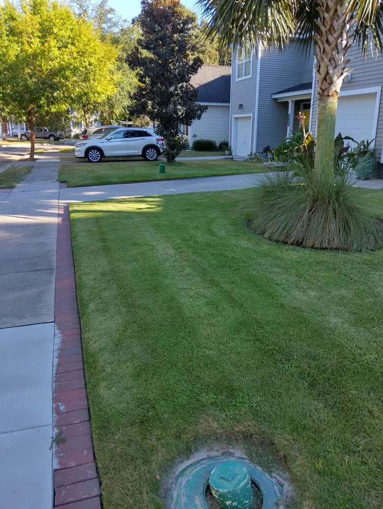 Professional landscape design in Mount Pleasant, SC by Nice lawn service