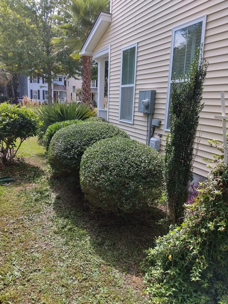 Affordable landscaping services near you across Mount Pleasant, SC - Nice lawn service