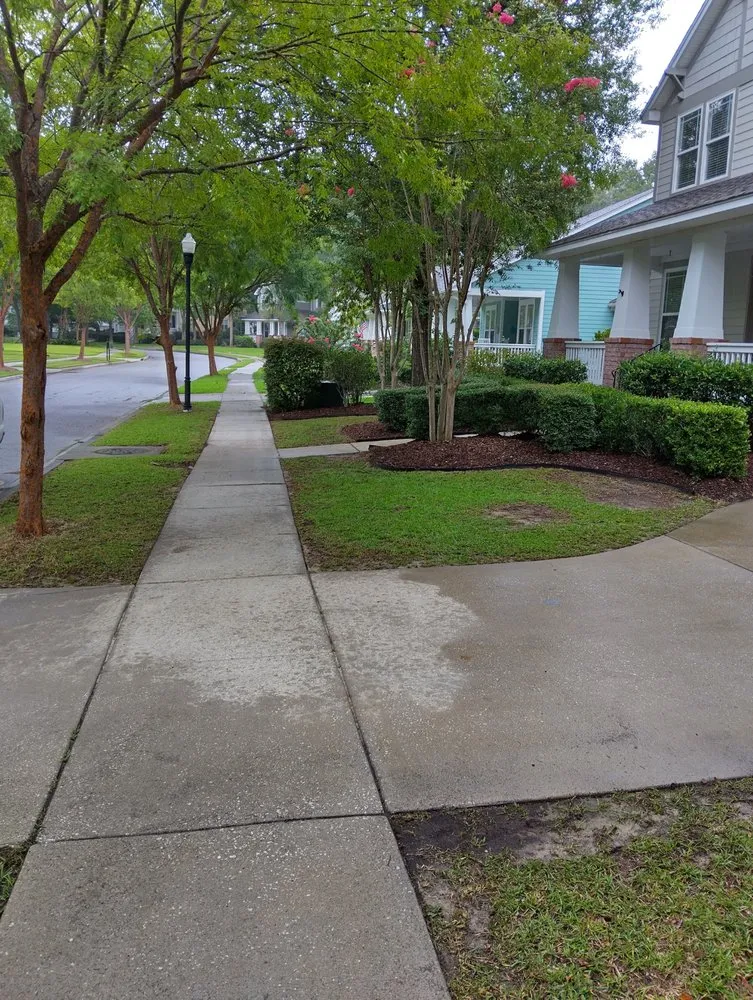 Top-rated landscape installation in Mount Pleasant, SC by Nice lawn service