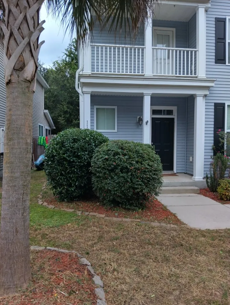 Custom outdoor landscaping for homes in Mount Pleasant, SC by Nice lawn service