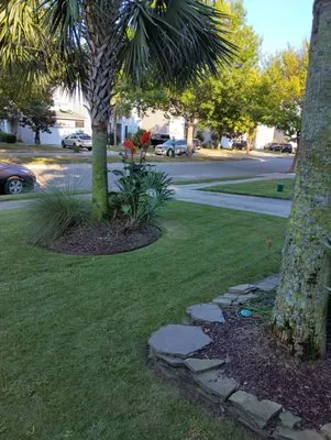 Nice lawn service Logo