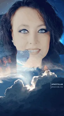 Nice n Tidy Cleaning Services Logo