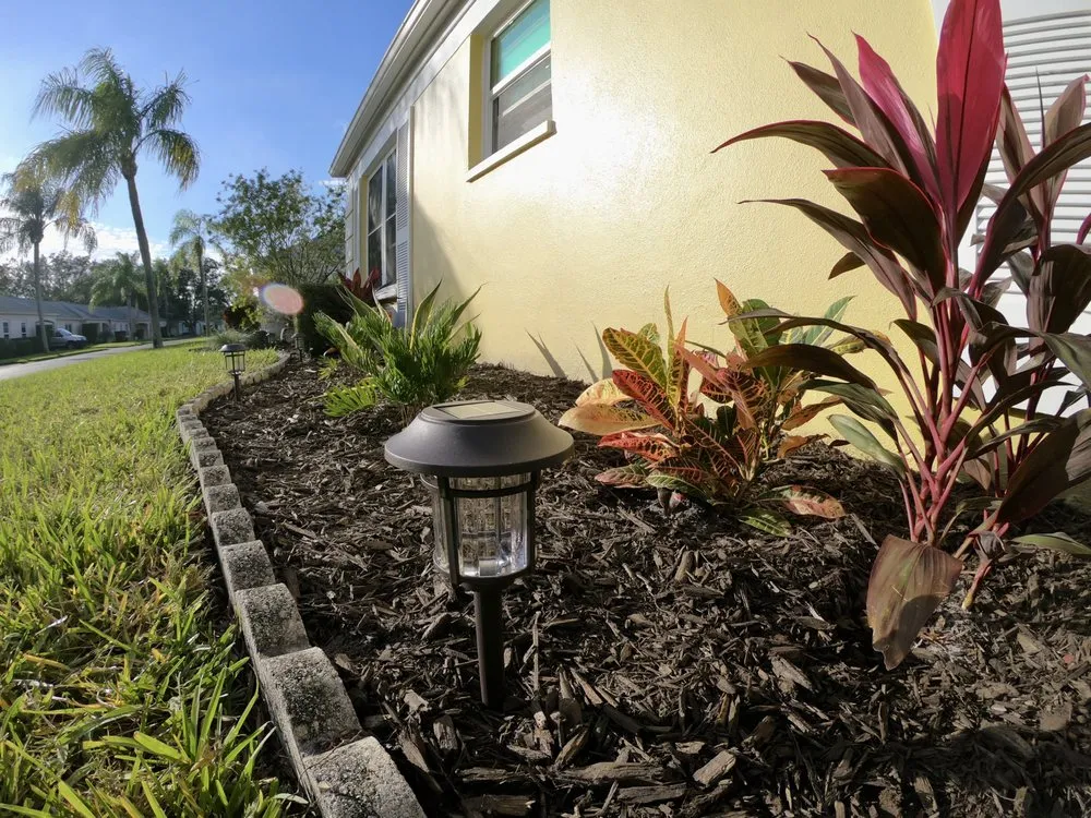Professional yard maintenance near you in St. Petersburg, FL by Nice People Landscaping