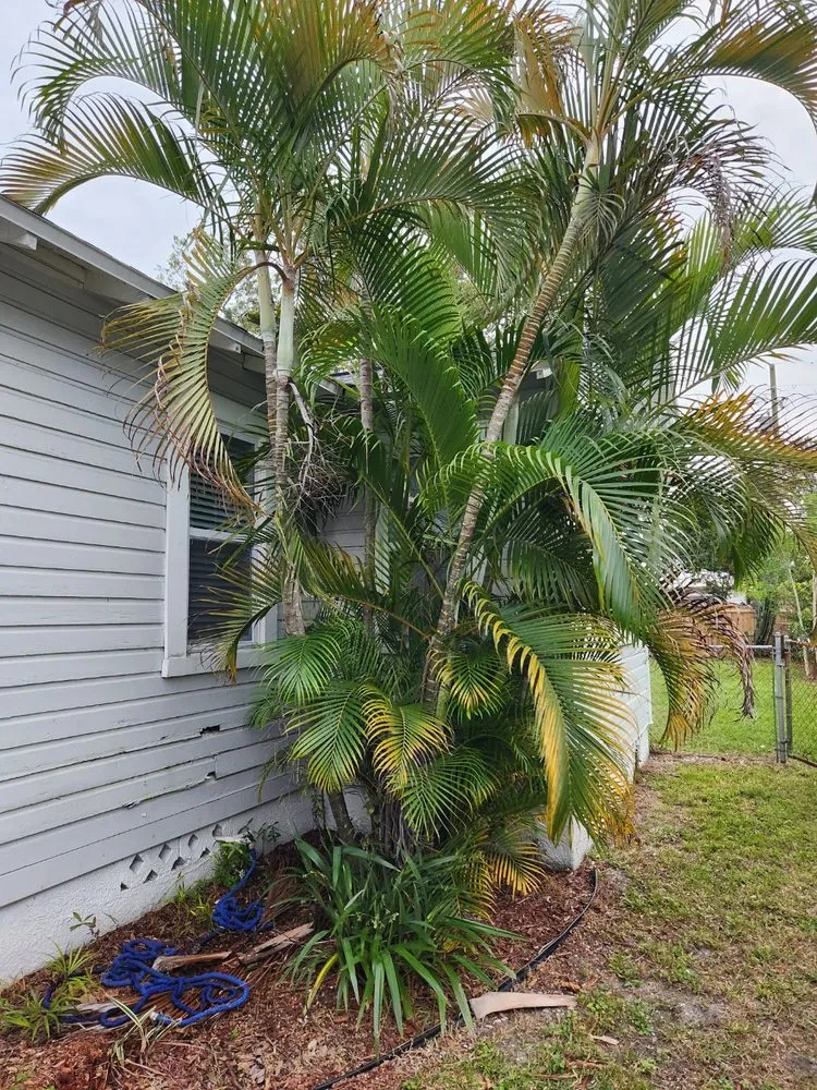 Reliable residential landscaping for outdoor upgrades in St. Petersburg, FL by Nice People Landscaping