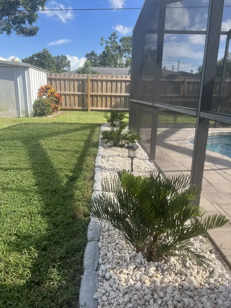 Professional yard cleanup service in St. Petersburg, FL by Nice People Landscaping