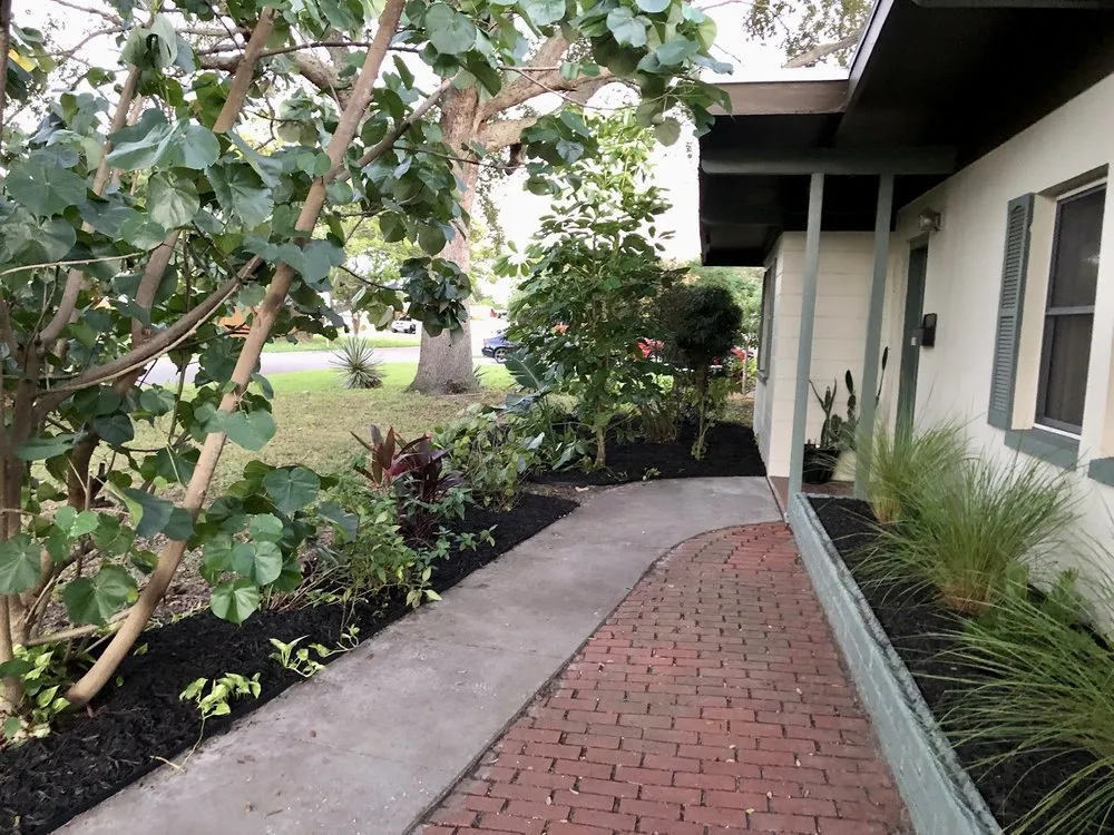 Professional landscaping services for beautiful yards across St. Petersburg, FL - Nice People Landscaping