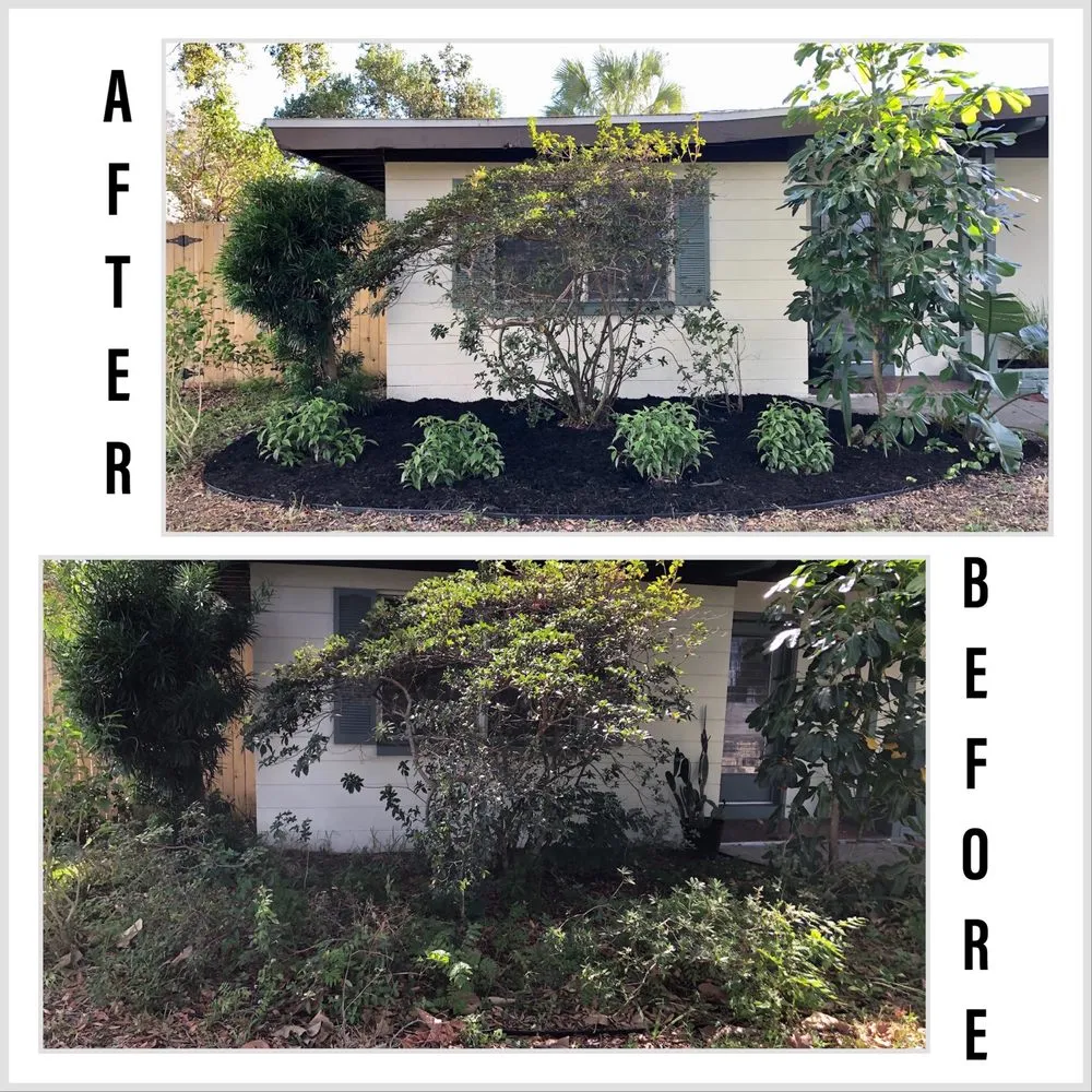 Affordable lawn mowing service experts serving St. Petersburg, FL - Nice People Landscaping