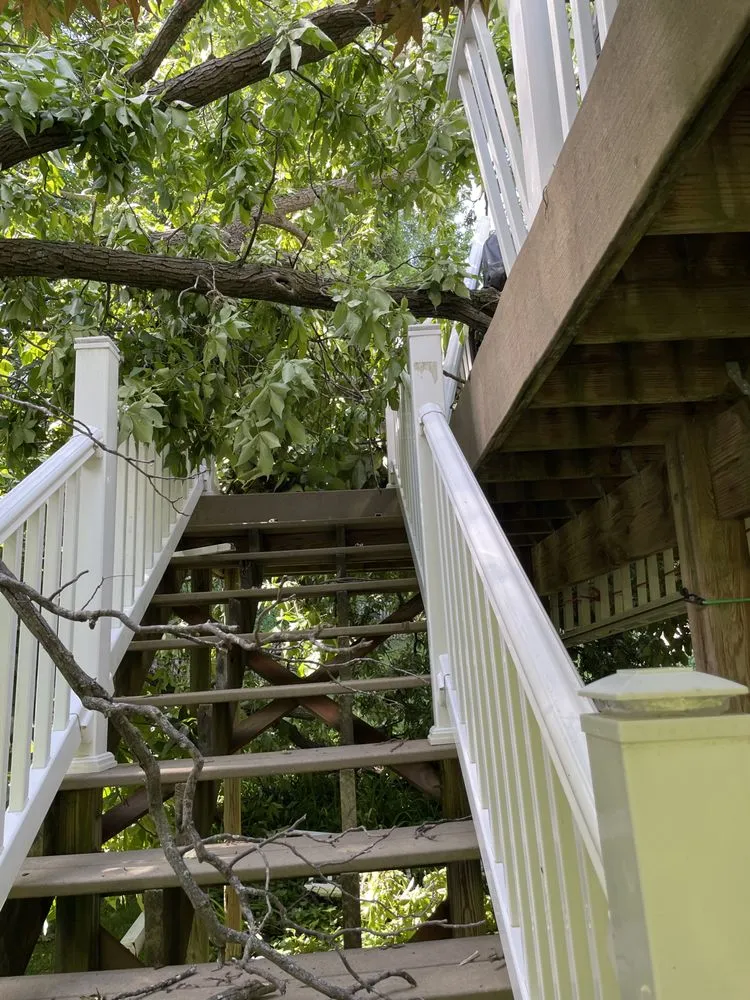 Top-rated outdoor landscaping in St. Louis, MO by Nice Touch Lawn Care