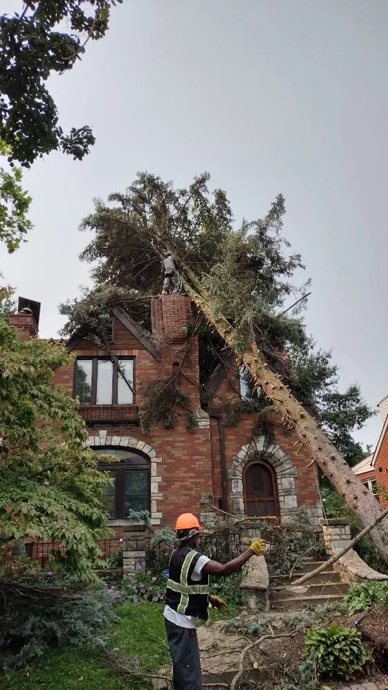 Expert residential landscaping for year-round maintenance in St. Louis, MO by Nice Touch Lawn Care