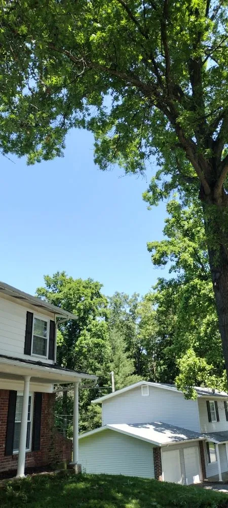 Professional lawn care service in St. Louis, MO - Nice Touch Lawn Care