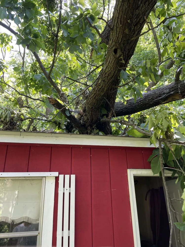 Professional outdoor landscaping for homes in St. Louis, MO by Nice Touch Lawn Care