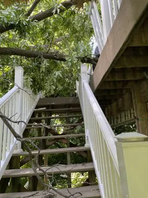 Nice Touch Lawn Care Logo