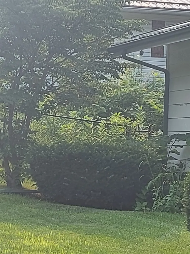 Affordable outdoor landscaping with custom design across Deltona, FL - Nicely Landscaping