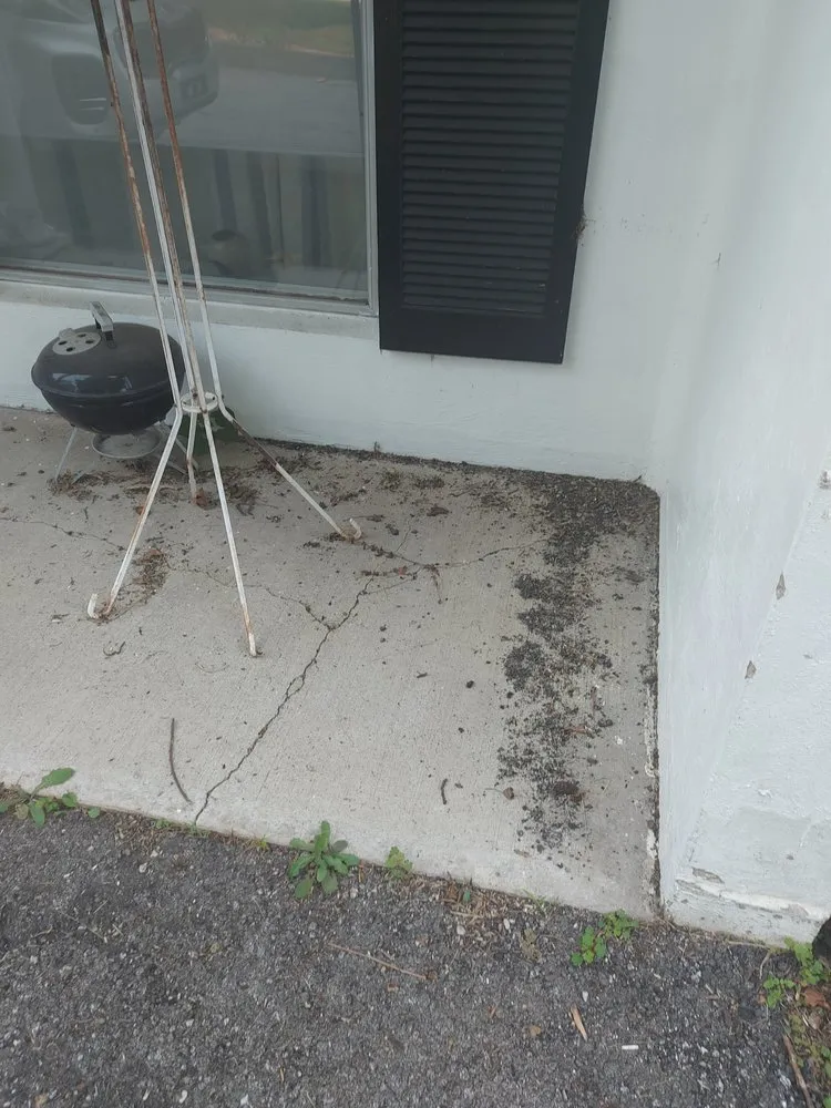 Affordable residential landscaping experts serving Deltona, FL - Nicely Landscaping