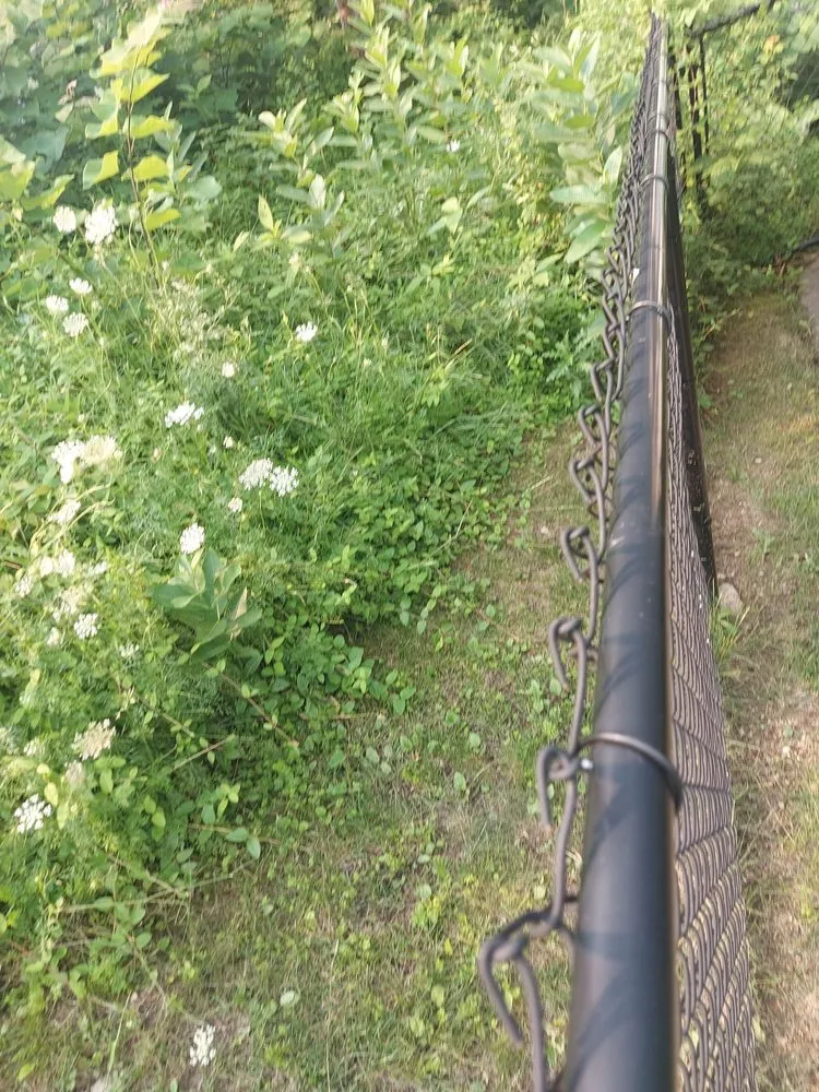 Trusted landscape design for outdoor upgrades in Deltona, FL by Nicely Landscaping