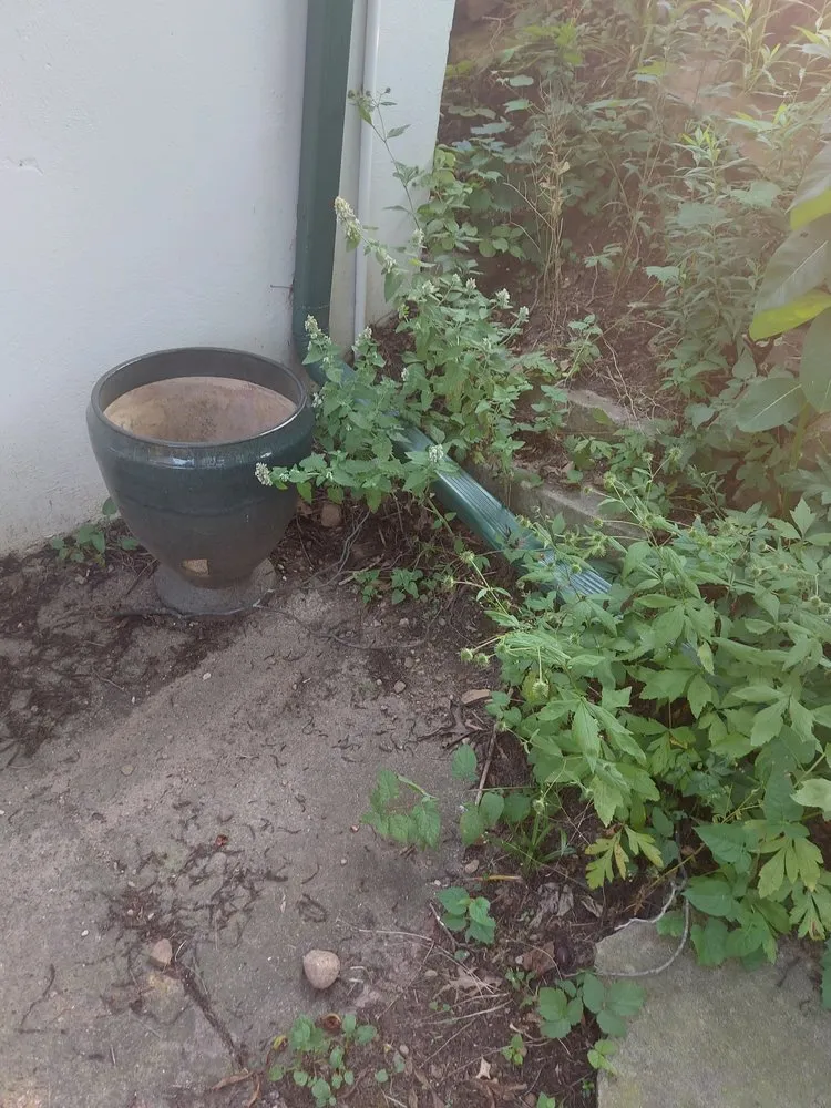 Local outdoor landscaping in Deltona, FL by Nicely Landscaping