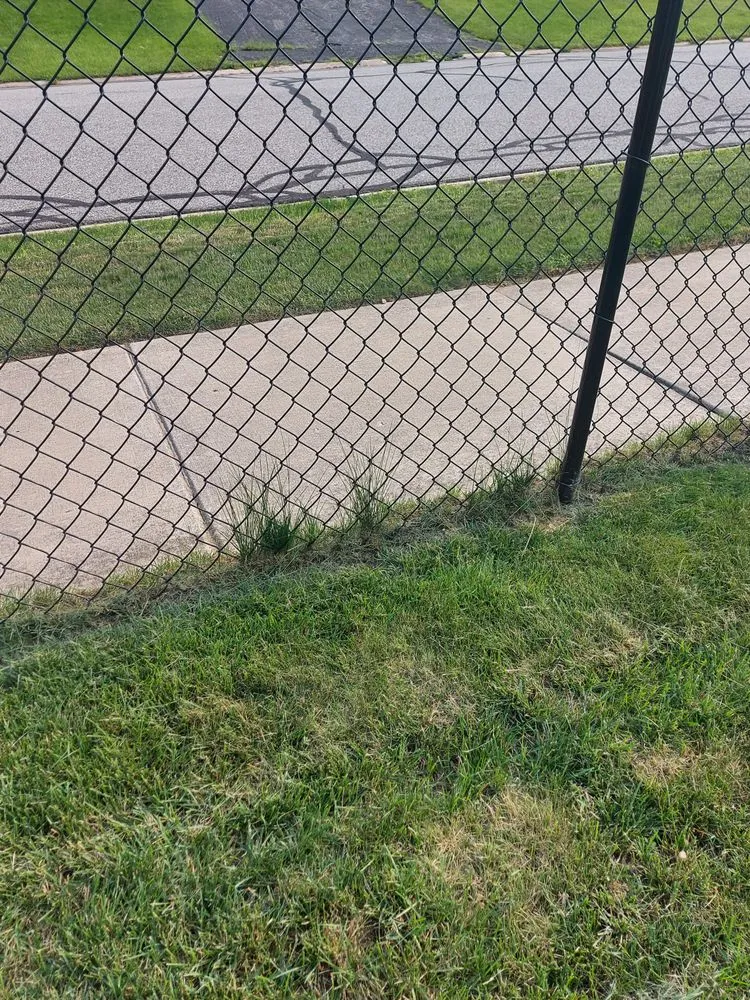 Local lawn care service near you in Deltona, FL by Nicely Landscaping