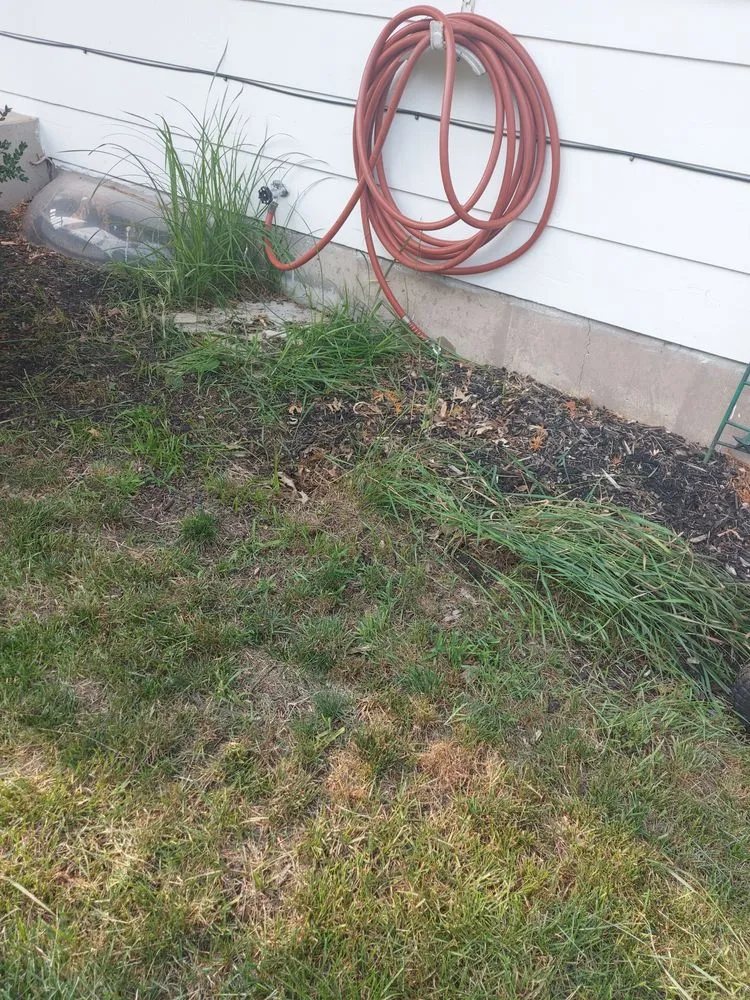 Custom lawn mowing service in Deltona, FL by Nicely Landscaping